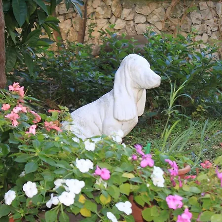 Apartamento By The Sea Rogoznica - 1090 Rogoznica (Sibenik-Knin)